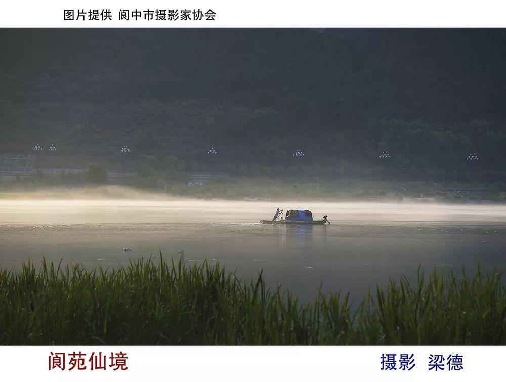 植物大战僵尸20
